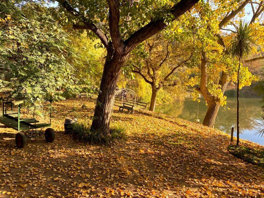 Picardie Guest Farm Paarl Dış mekan fotoğraf