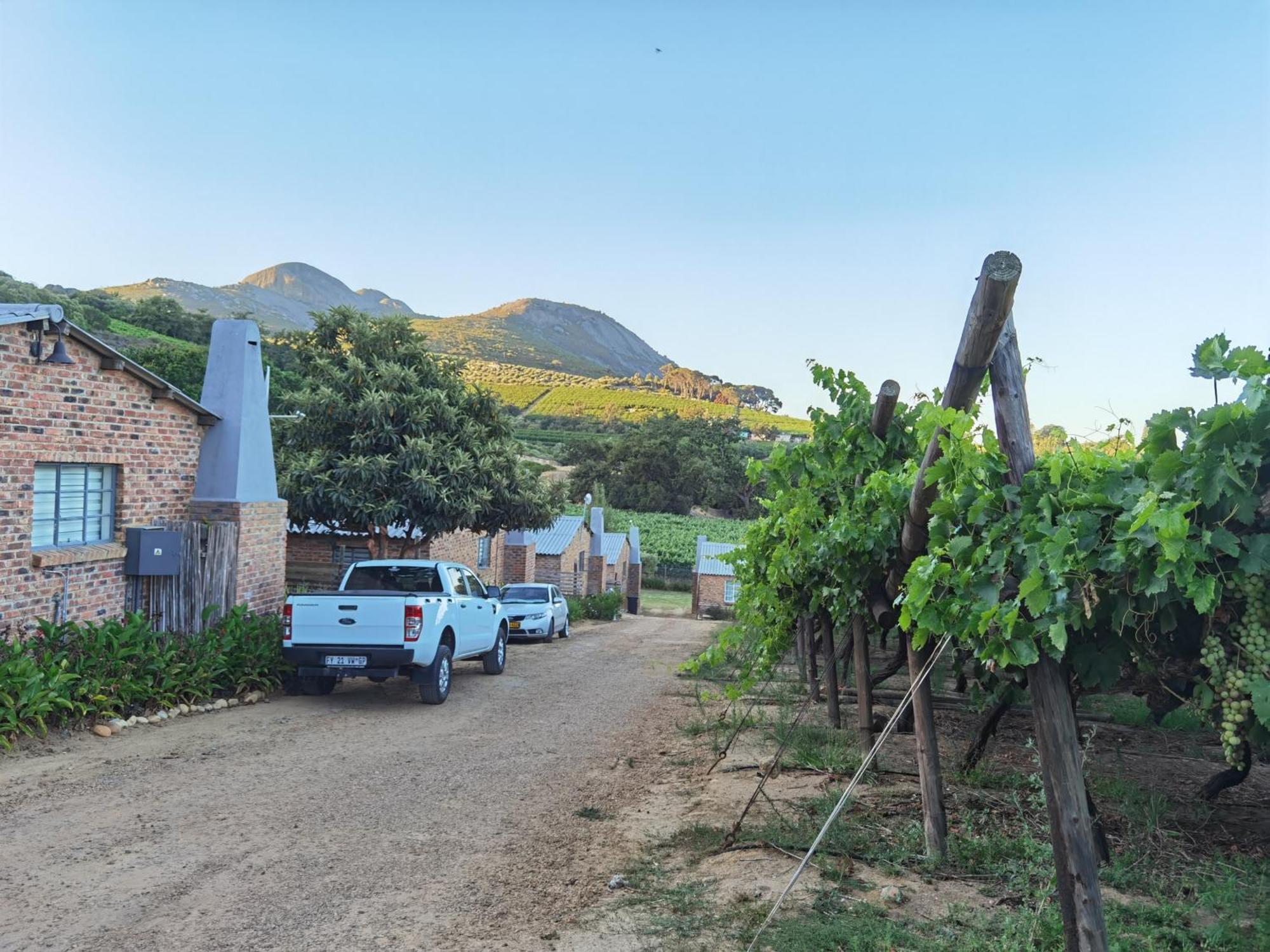 Picardie Guest Farm Paarl Dış mekan fotoğraf