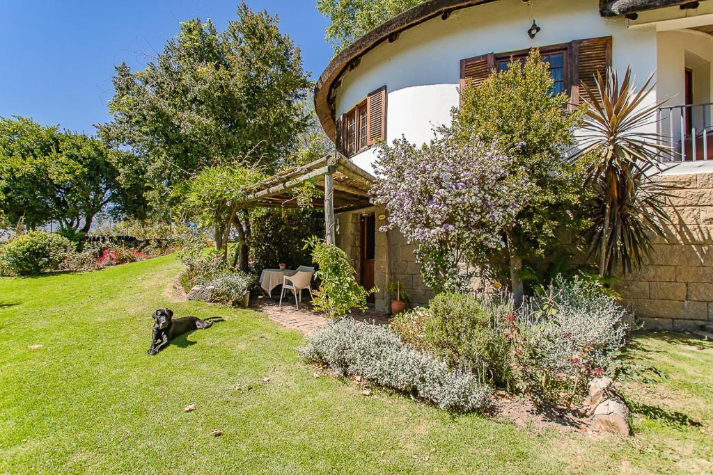 Picardie Guest Farm Paarl Dış mekan fotoğraf