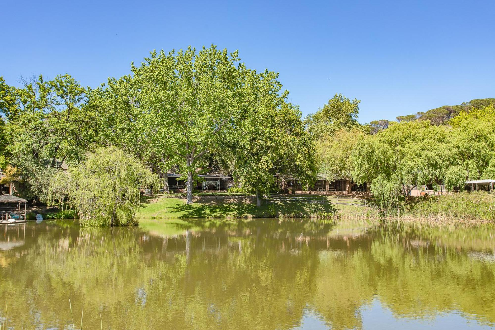 Picardie Guest Farm Paarl Dış mekan fotoğraf